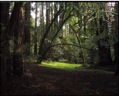 endor1280x1024.jpg